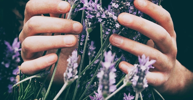 How Massage Therapy Enhances Mental Well-being image