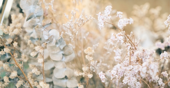 How Massage Therapy Enhances Mental Well-being image